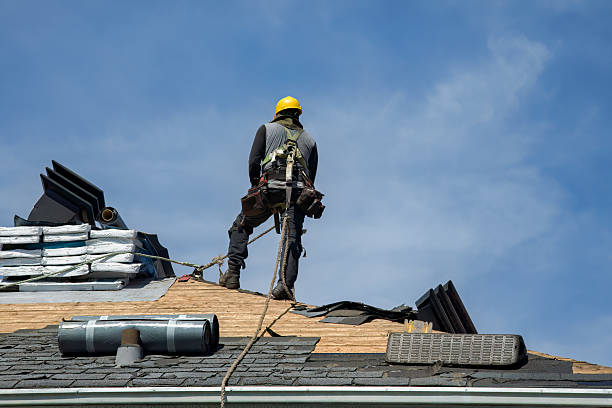 Professional Gutter Installation technician working in Bapchule, AZ